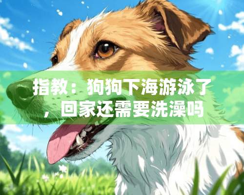 指教：狗狗下海游泳了，回家还需要洗澡吗