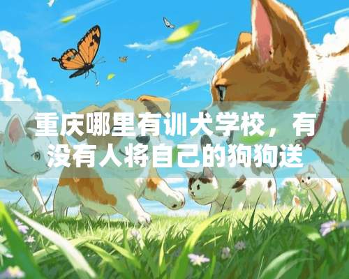 重庆哪里有训犬学校，有没有人将自己的狗狗送去训练的？