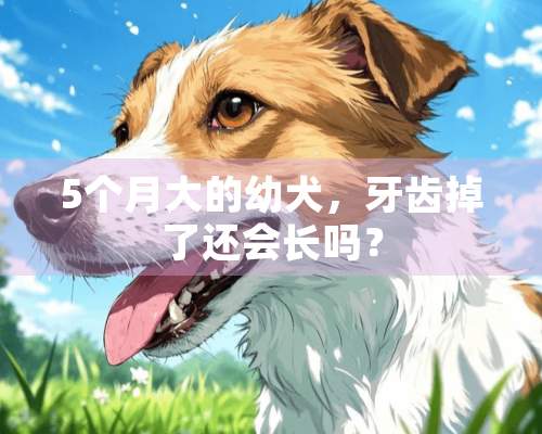 5个月大的幼犬，牙齿掉了还会长吗？