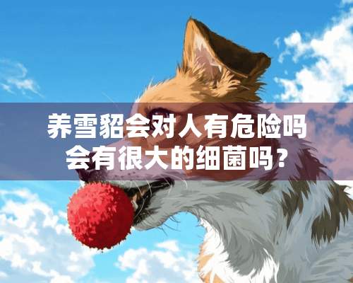 养雪貂会对人有危险吗会有很大的细菌吗？