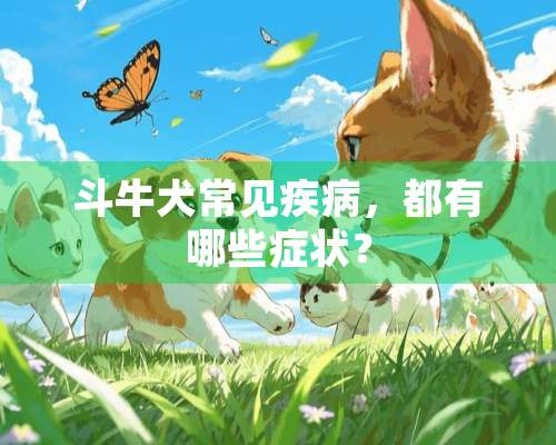 斗牛犬常见疾病，都有哪些症状？