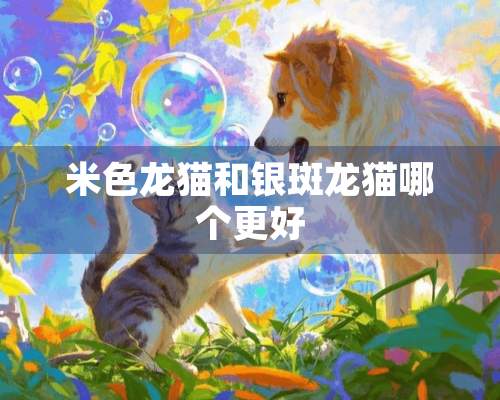 米色龙猫和银斑龙猫哪个更好