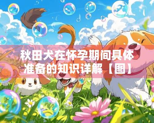 秋田犬在怀孕期间具体准备的知识详解【图】