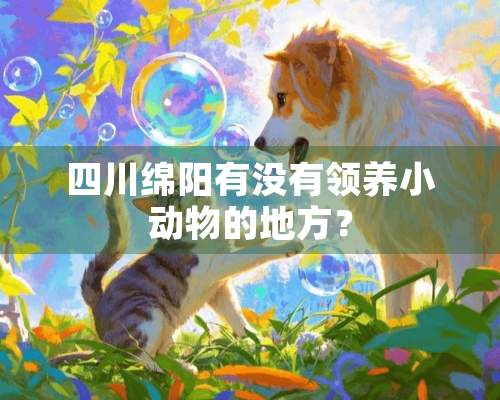 四川绵阳有没有领养小动物的地方？