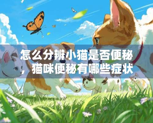 怎么分辨小猫是否便秘，猫咪便秘有哪些症状