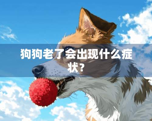 狗狗老了会出现什么症状？