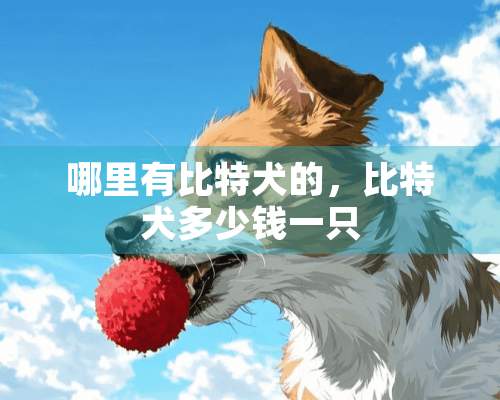 哪里有比特犬的，比特犬多少钱一只