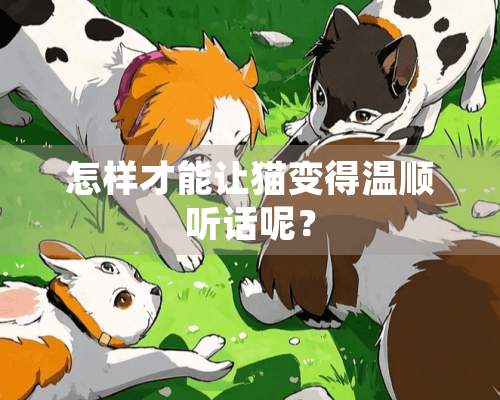 怎样才能让猫变得温顺听话呢？