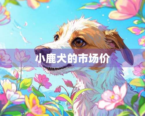 小鹿犬的市场价