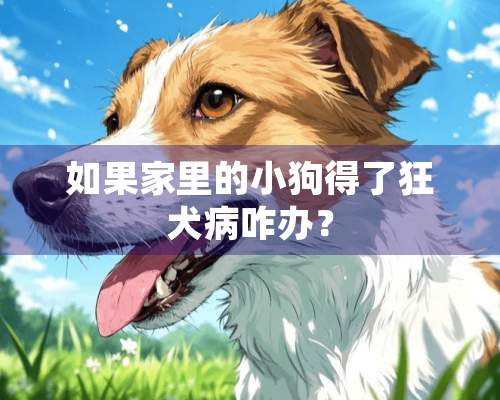 如果家里的小狗得了狂犬病咋办？