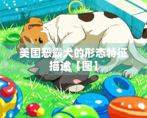 美国恶霸犬的形态特征描述【图】