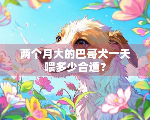 两个月大的巴哥犬一天喂多少合适？