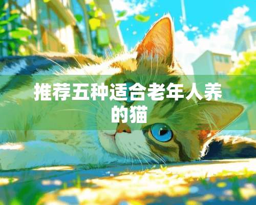 推荐五种适合老年人养的猫