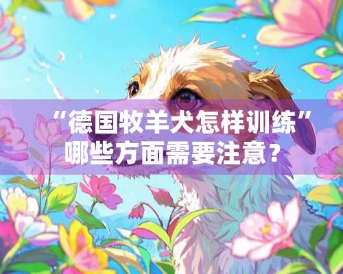 “德国牧羊犬怎样训练”哪些方面需要注意？