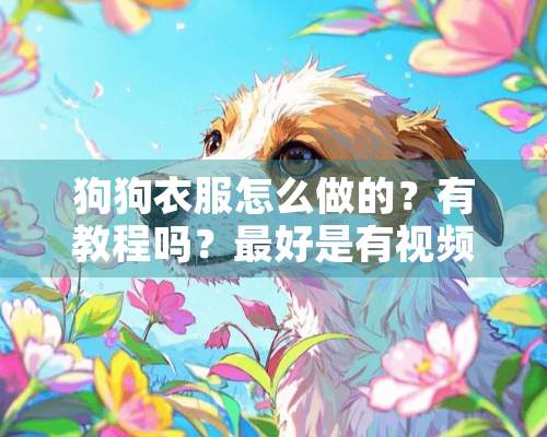 狗狗衣服怎么做的？有教程吗？最好是有视频