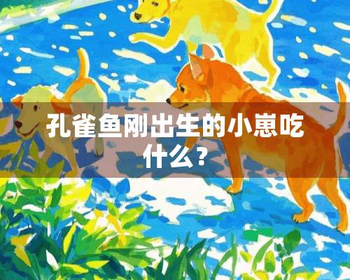 孔雀鱼刚出生的小崽吃什么？