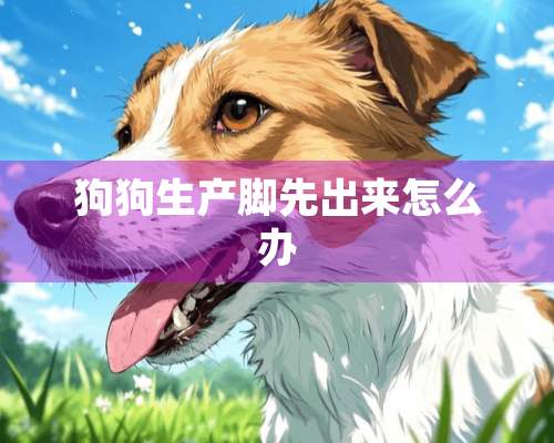 狗狗生产脚先出来怎么办