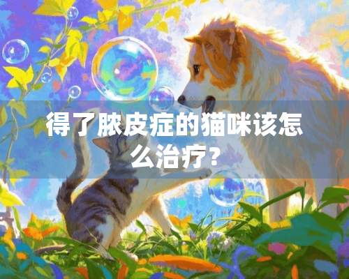 得了脓皮症的猫咪该怎么治疗？