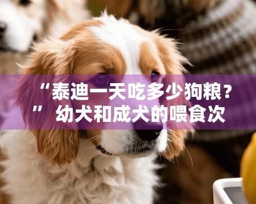 “泰迪一天吃多少狗粮？” 幼犬和成犬的喂食次数一样吗？