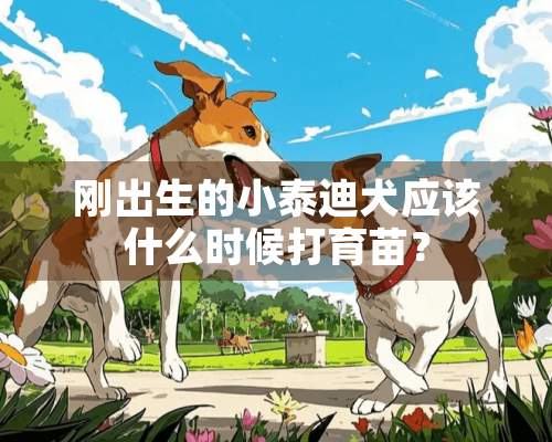 刚出生的小泰迪犬应该什么时候打育苗？