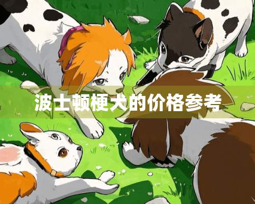 波士顿梗犬的价格参考