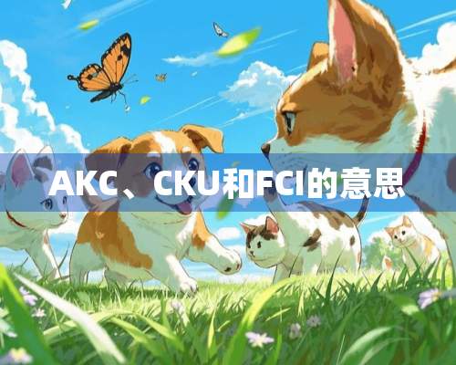 AKC、CKU和FCI的意思