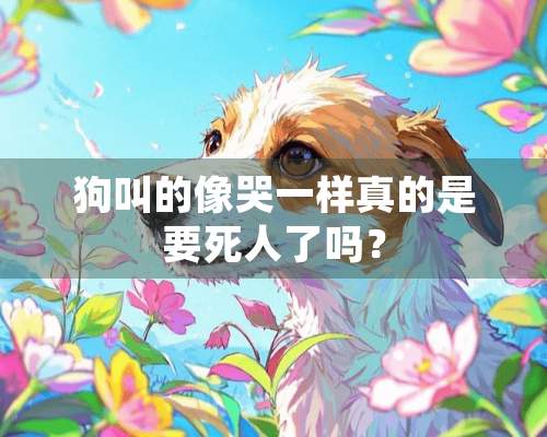 狗叫的像哭一样真的是要死人了吗？