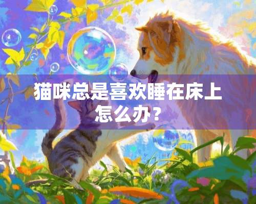 猫咪总是喜欢睡在床上怎么办？