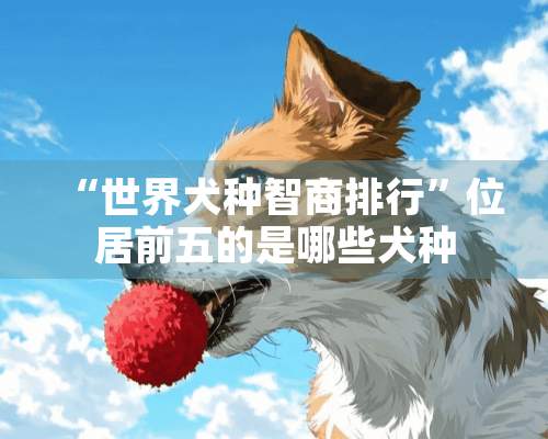 “世界犬种智商排行”位居前五的是哪些犬种