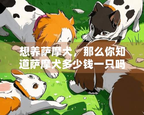 想养萨摩犬，那么你知道萨摩犬多少钱一只吗？