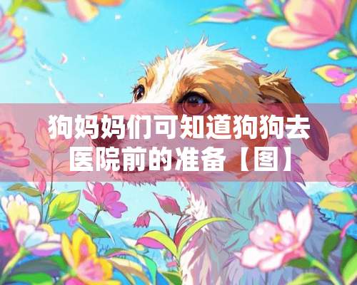 狗妈妈们可知道狗狗去医院前的准备【图】