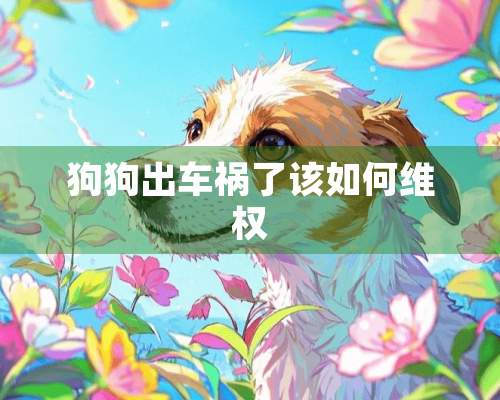 狗狗出车祸了该如何**