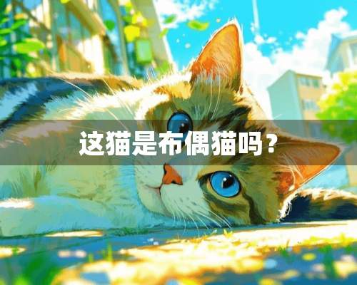 这猫是布偶猫吗？