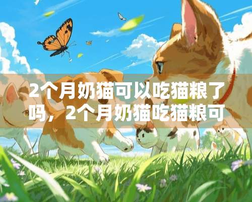 2个月奶猫可以吃猫粮了吗，2个月奶猫吃猫粮可以了吗