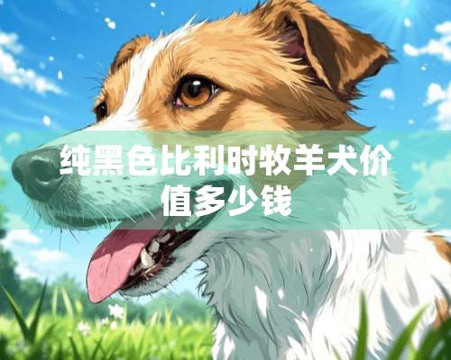 纯黑色比利时牧羊犬价值多少钱