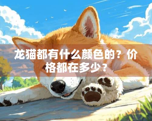 龙猫都有什么颜色的？价格都在多少？