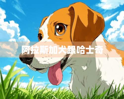 阿拉斯加犬跟哈士奇