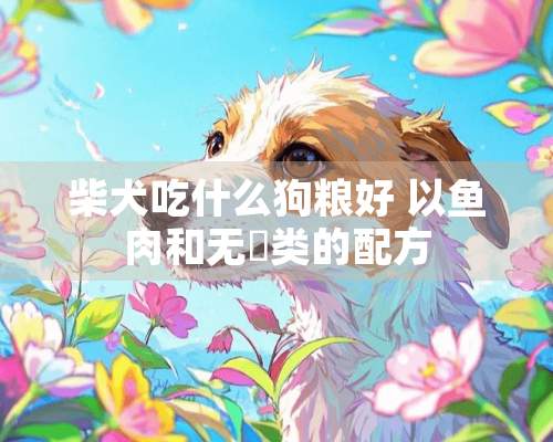 柴犬吃什么狗粮好 以鱼肉和无穀类的配方