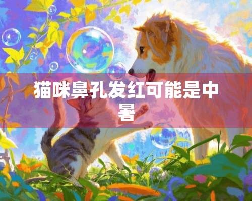 猫咪鼻孔发红可能是中暑