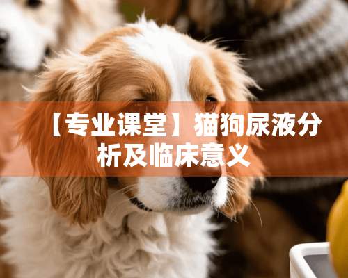 【专业课堂】猫狗尿液分析及临床意义