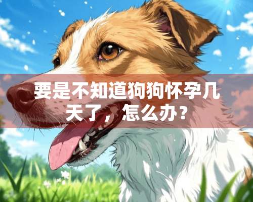 要是不知道狗狗怀孕几天了，怎么办？