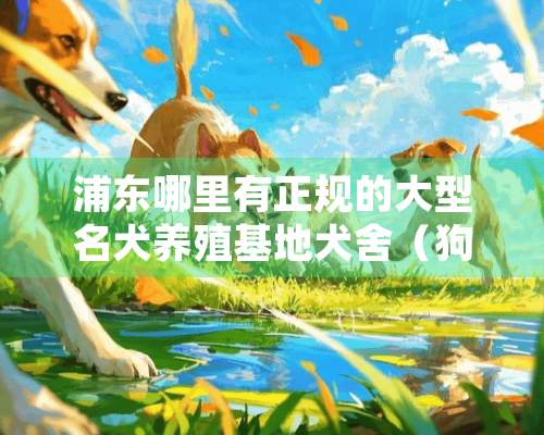 浦东哪里有正规的大型名犬养殖基地犬舍（狗场）