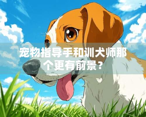 宠物指导手和训犬师那个更有前景？