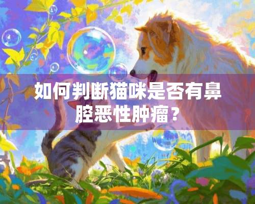 如何判断猫咪是否有鼻腔恶性肿瘤？