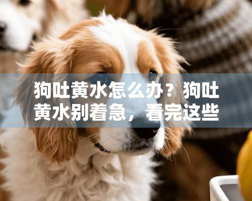 狗吐黄水怎么办？狗吐黄水别着急，看完这些你就知道怎么做了