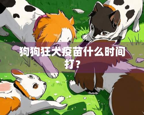 狗狗狂犬疫苗什么时间打？