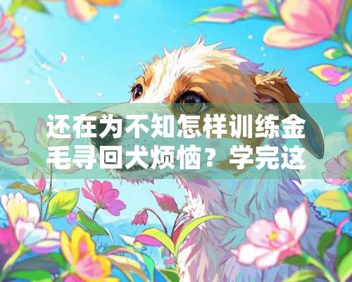 还在为不知怎样训练金毛寻回犬烦恼？学完这几招老婆都夸你！