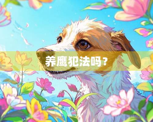 养鹰犯法吗？