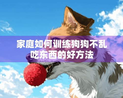 家庭如何训练狗狗不乱吃东西的好方法