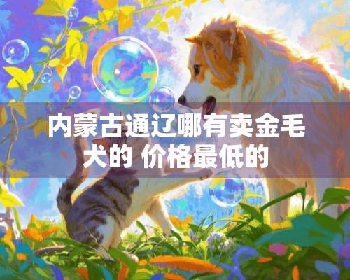 内蒙古通辽哪有卖金毛犬的 价格最低的